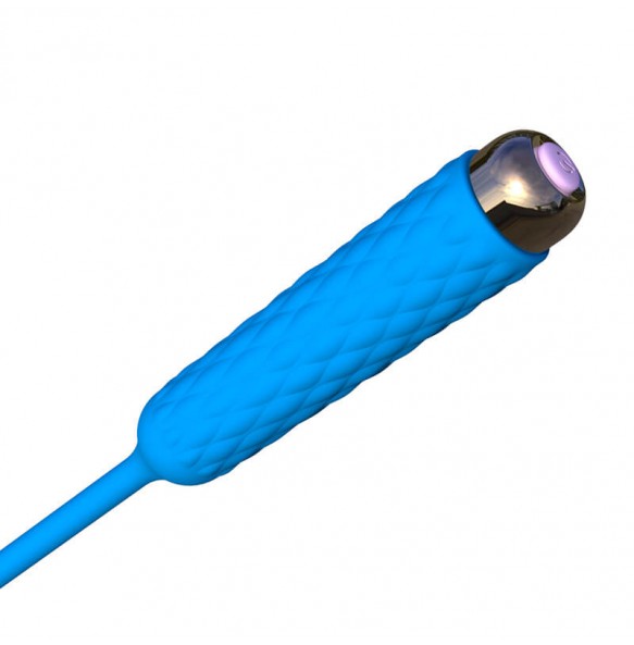 HK LETEN Catheter Urethral Sound Electro Vibrator (Battery - Blue)