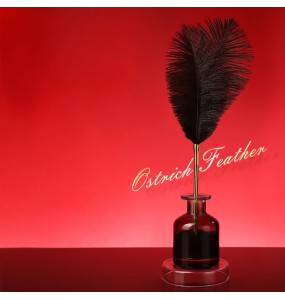 MizzZee - Ostrich Feather Teaser Wand SM