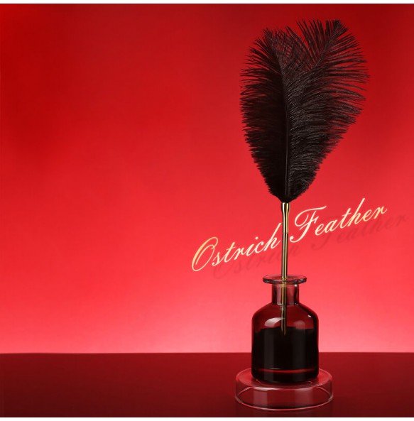 MizzZee - Ostrich Feather Teaser Wand SM