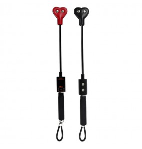 MizzZee - EMS Electro Shock Paddle (Heart-Shaped - Chargeable)