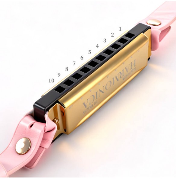 MizzZee - Harmonica Mouth Gag SM MizzZee - Harmonica Mouth Gag SM