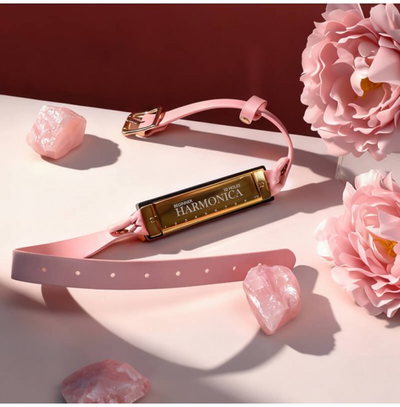 MizzZee - Harmonica Mouth Gag SM