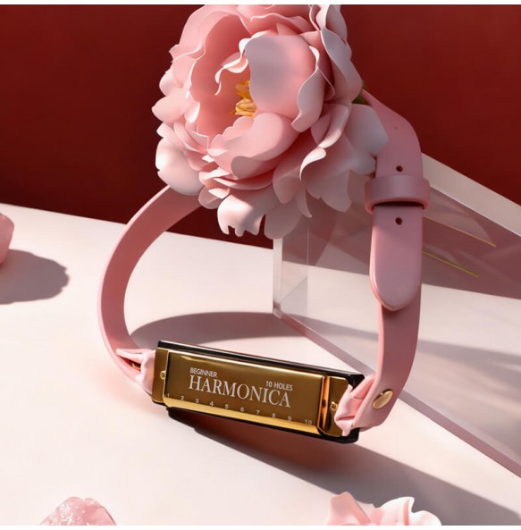 MizzZee - Harmonica Mouth Gag SM