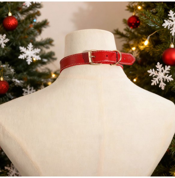 MizzZee - Christmas Charm Detachable Collar With Leash