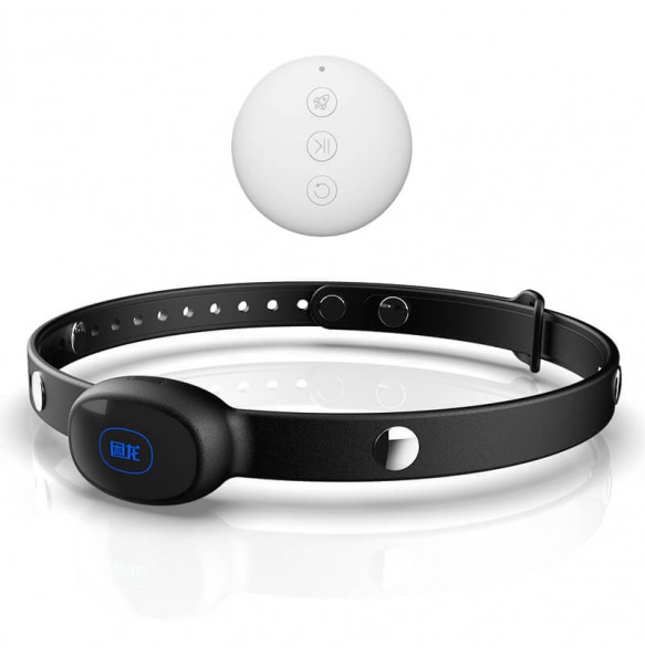KunLong - Electric Shock Collar (Support Connect WeChat Mini Programs - Wireless Remote)
