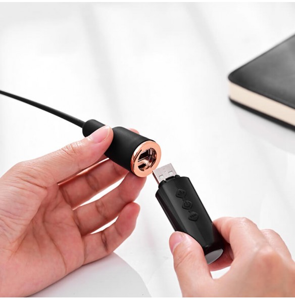 ROSELEX - Urethral Sounding Rod SM (Chargeable - Black)