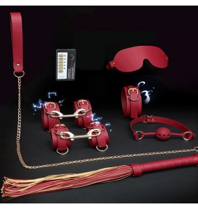 MizzZee - Electric Shock SM Leather 10 Pieces Set (Burgundy)