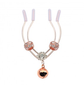 MizzZee - Vaginal Lip Clamps SM